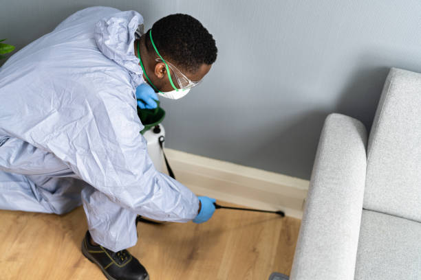 Professional Pest Control in Aurora, CO